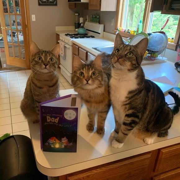 Like this listing for shows! - Picture 2 of 16